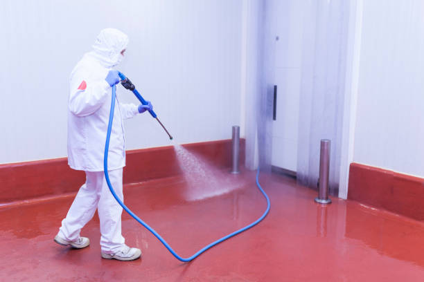 Pre-Holiday Cleaning in Sunrise, FL